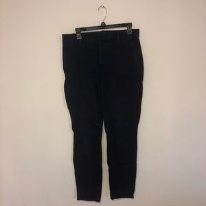 Navy Gap Pants Tall